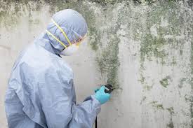 Best Airborne Mold Testing  in New London, WI